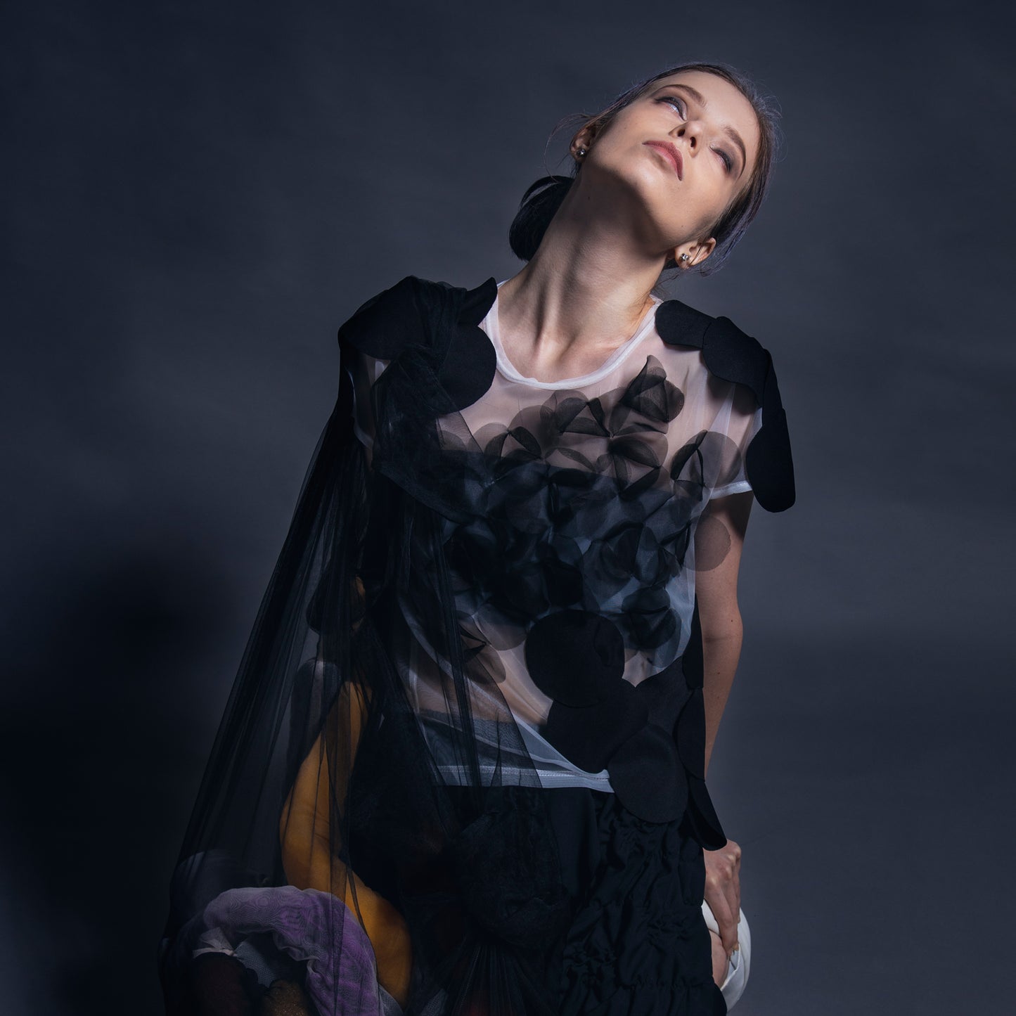 Tops - Black Circle Applique Overlapped on Mesh
